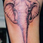 inkin - tatouage éléphant sur épaule - art beach tattoo.JPG