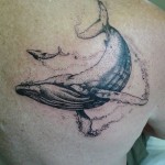 inkin - tatouage baleines sur poitrine - coma white studio.jpg
