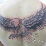 inkin - tatouage aigle sur dos - accro ink tattoo.jpg