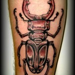 inkin - tatouage insecte sur bras - color tattoo.jpg