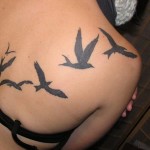 inkin-tatouage-oiseaux-dos-dark-side-tattoo-graphique.jpg