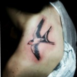inkin - tatouage hirondelle sur épaule - à fleur de peau.jpg