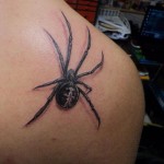 inkin - tatouage araignée sur épaule - absolutattoo.jpg